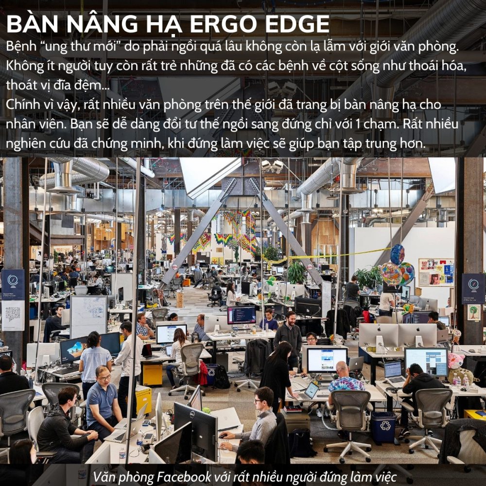 Ergohuman - bàn nâng hạ Ergo Edge